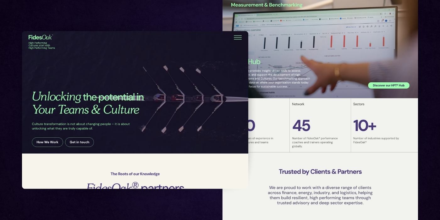 01 - Website Example 16 - Fidesoak