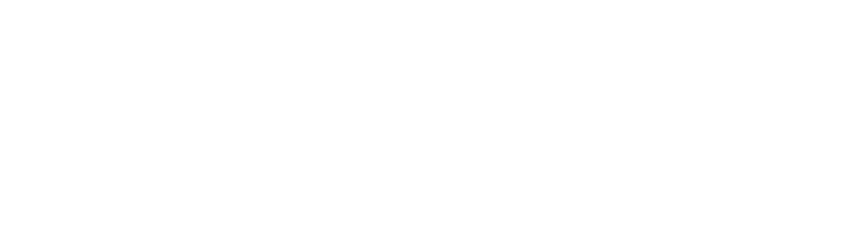 the-chicago-school-main-logo-white