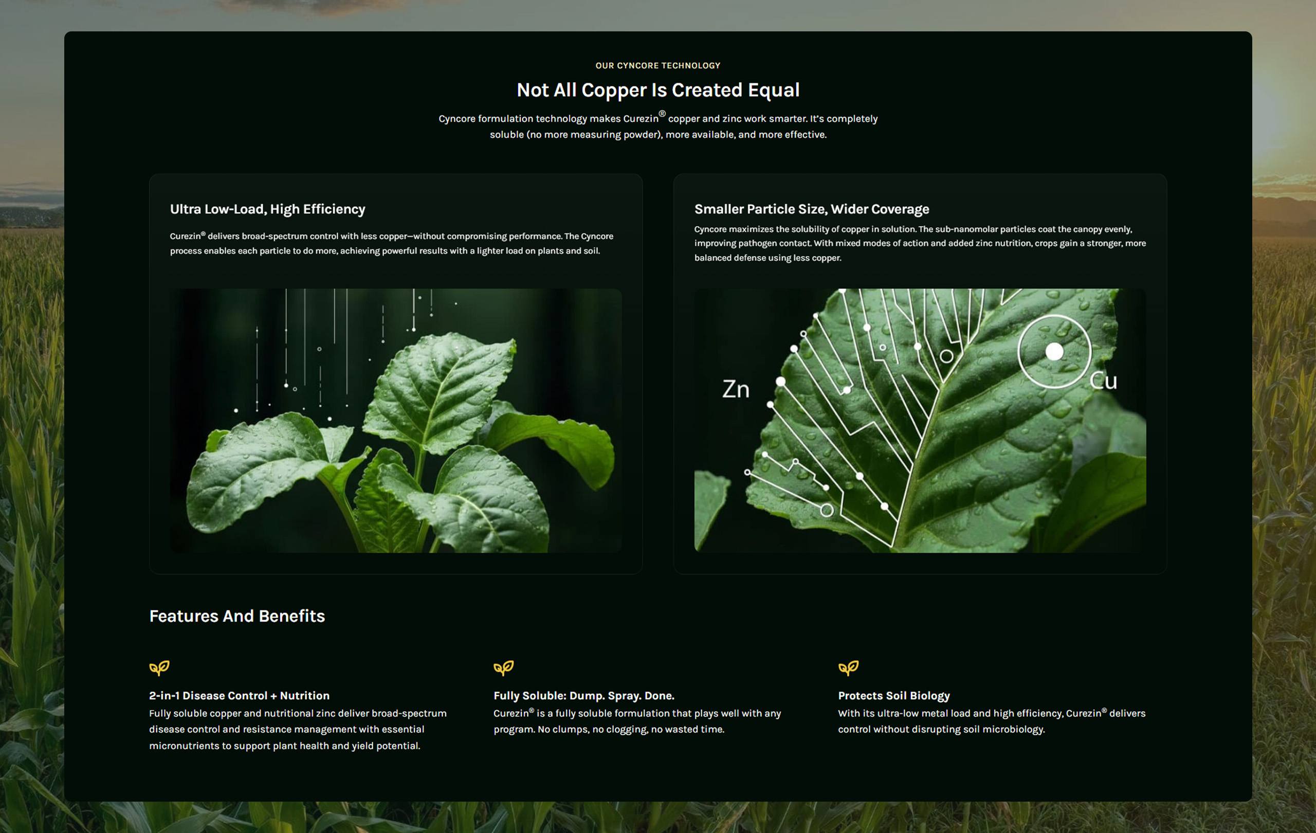 05 - VM Agritech Curezin Page Section