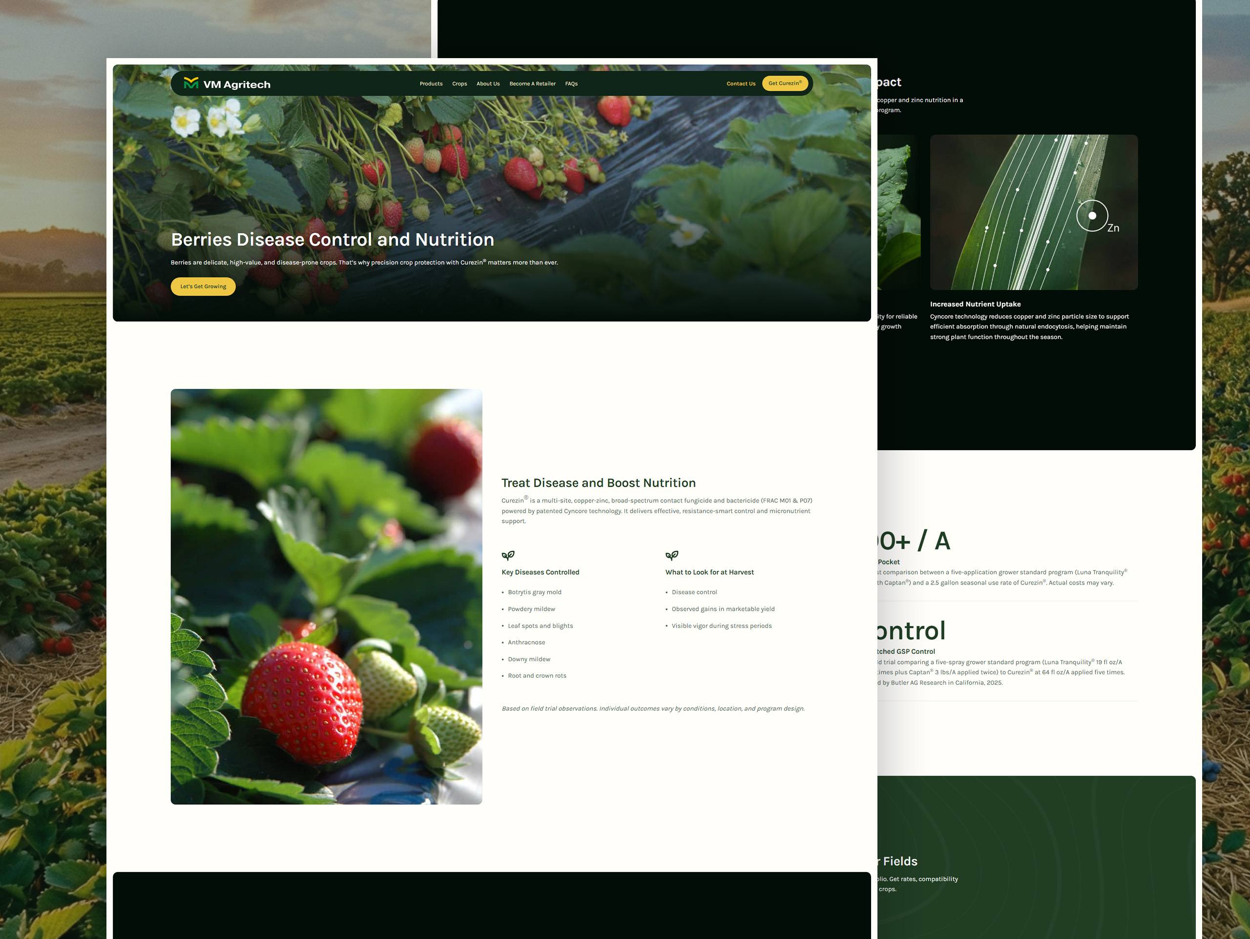 06 - VM Agritech Crops Page Section 02